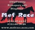 ChipTuning, Remapare soft, Diagnoza